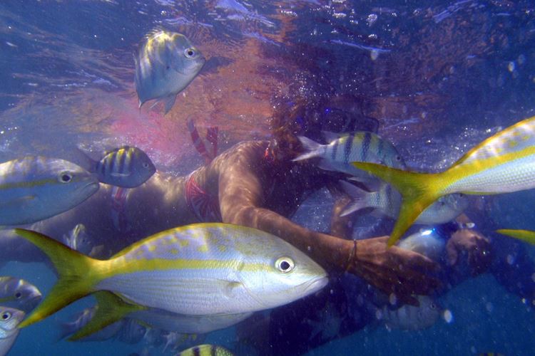Zájezd - Kuba za potápěním