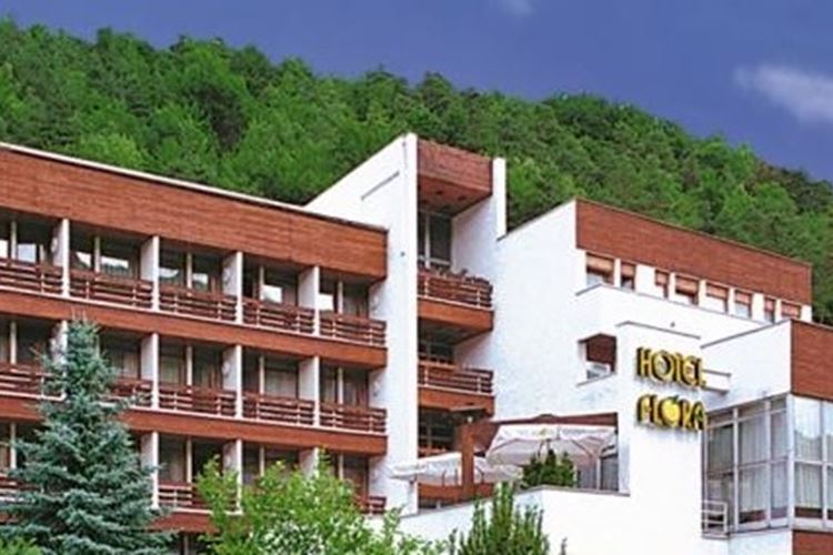 Wellness hotel Flóra, Trenčianske Teplice, Slovensko. www.Geovita.cz