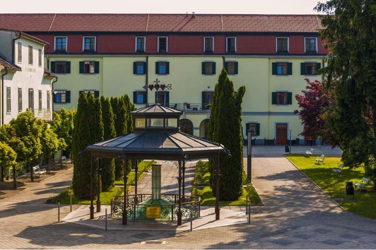 Hotel Radin, Zdravilišče Radenci, Lázně Slovinsko, Dovolená s CK Geovita