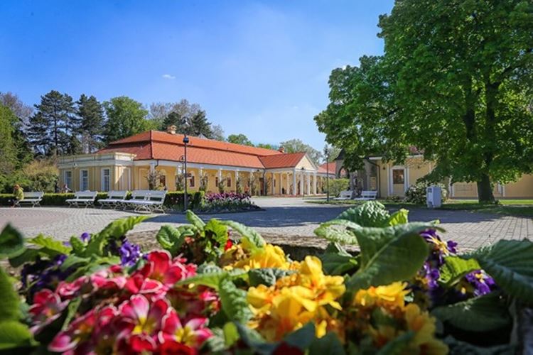 Splendid Ensana Health Spa Hotel, Piešťany, Slovensko, Dovolená s CK Geovita
