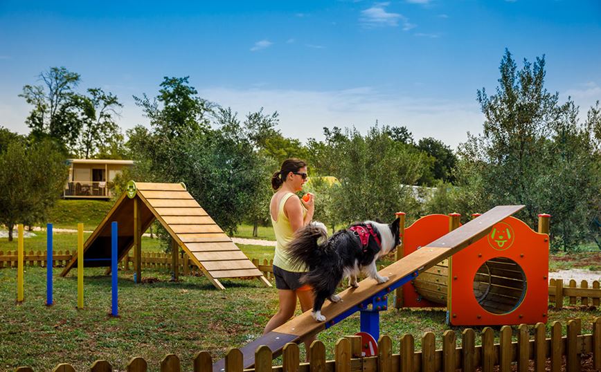 Maravea Camping Resort, Novigrad, Istrie, Chorvatsko, Dovolená s CK Geovita