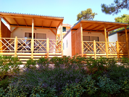 Mobilní dům STANDARD (32 m2) 50-150 m od moře, Camping Belvedere, Trogir, CK GEOVITA